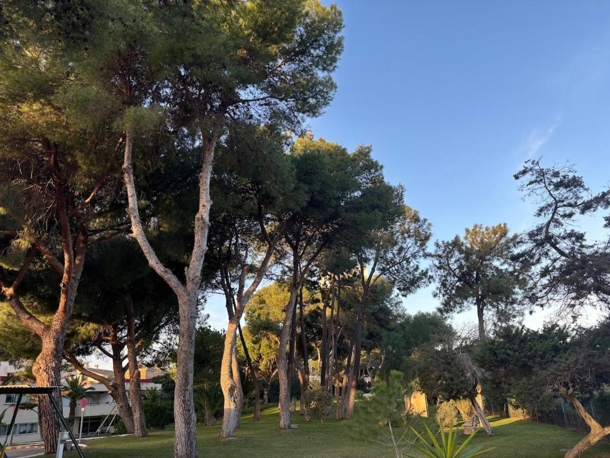Wonderful In Enjoy The Fantastic Views Marbella